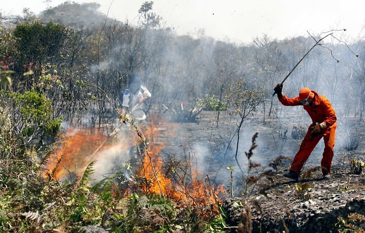 Seca e Queimadas no DF: Um Problema Crescente